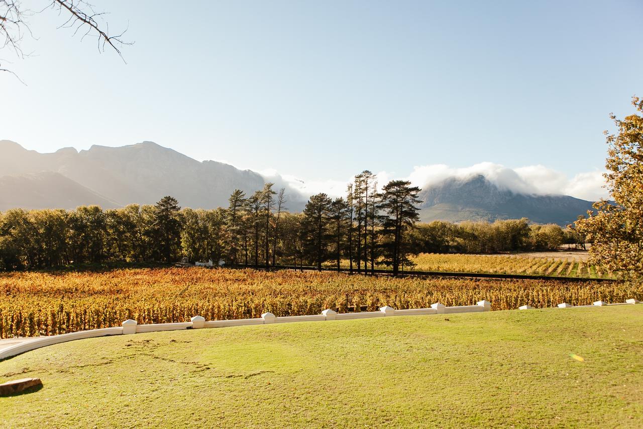 Rickety Bridge Manor House Guest House Franschhoek Ngoại thất bức ảnh